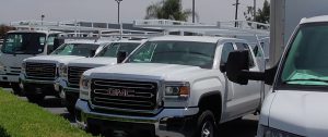 Fleet Trucks