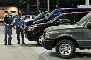 surveying used cars